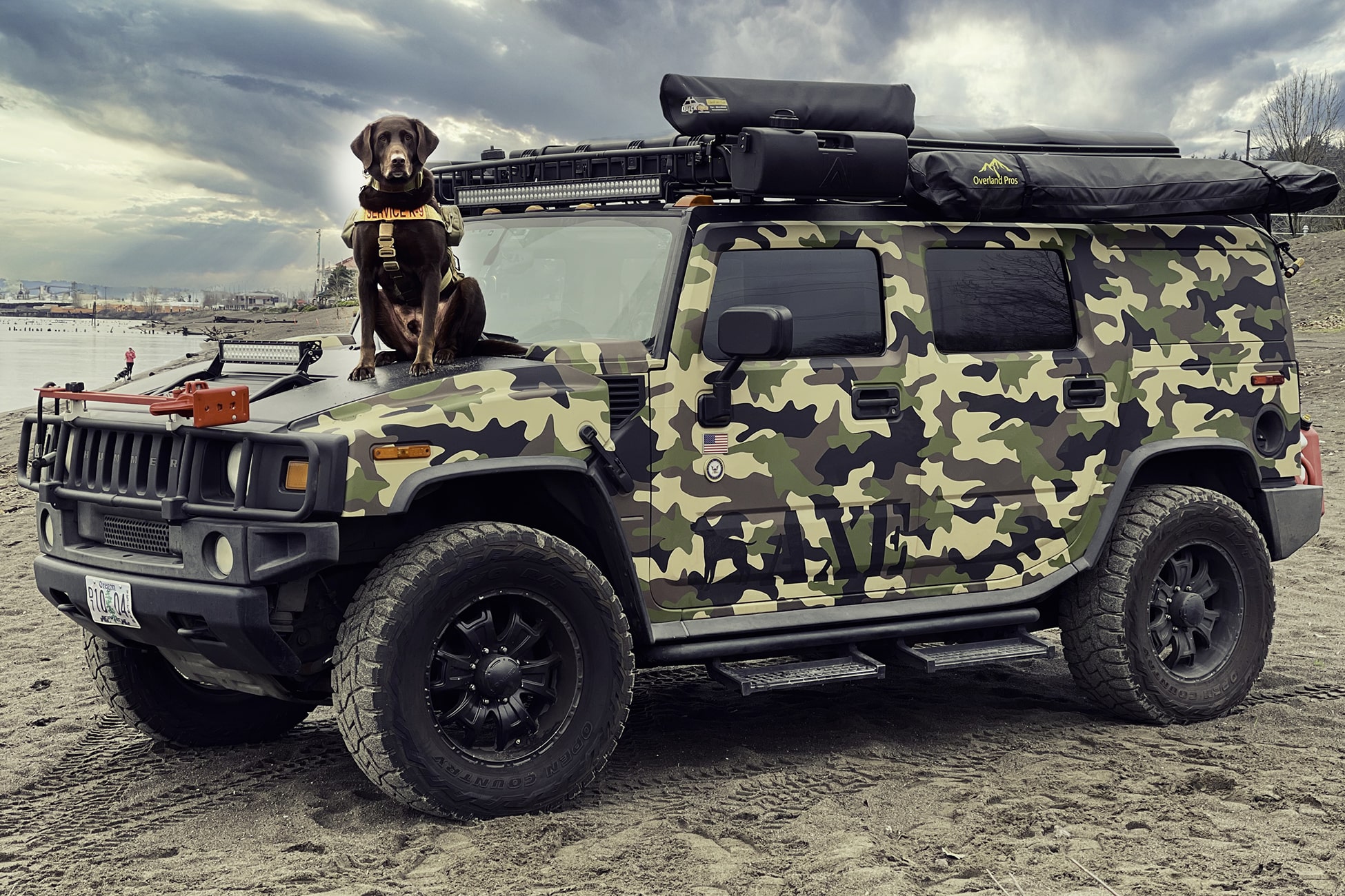 axe-the-service-dog-2