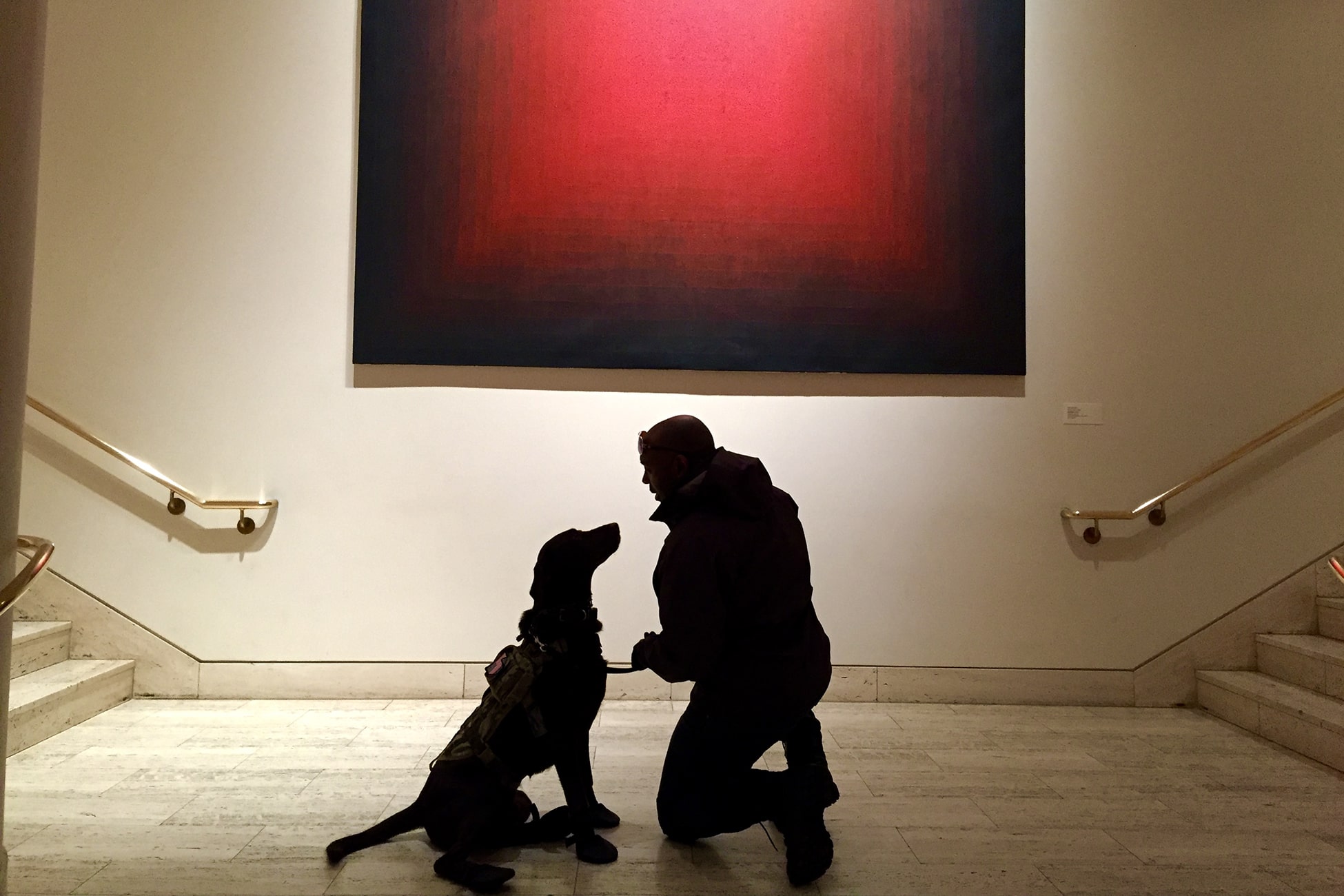 axe-the-service-dog-3